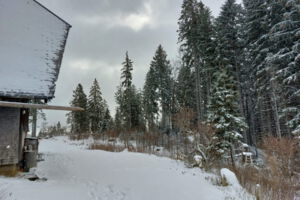 Feuerzangenbowle auf der Schwarzwälder Hütte