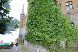 IMG_1442.jpeg